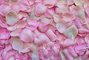 Biglietti D’Auguri – qualche idea originale - regalo 5 Petali di rosa
